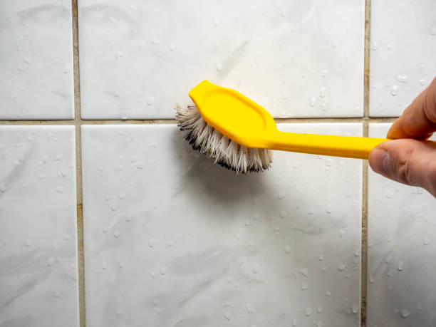 Best Insurance-Related Mold Remediation in Pinckney, MI