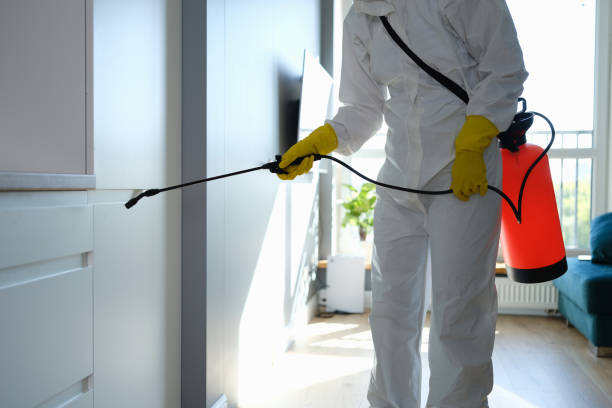 Best Residential Mold Remediation in Pinckney, MI