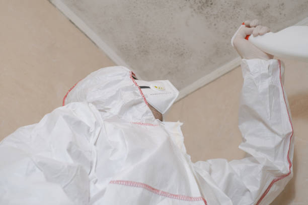 Best Bathroom Mold Remediation in Pinckney, MI
