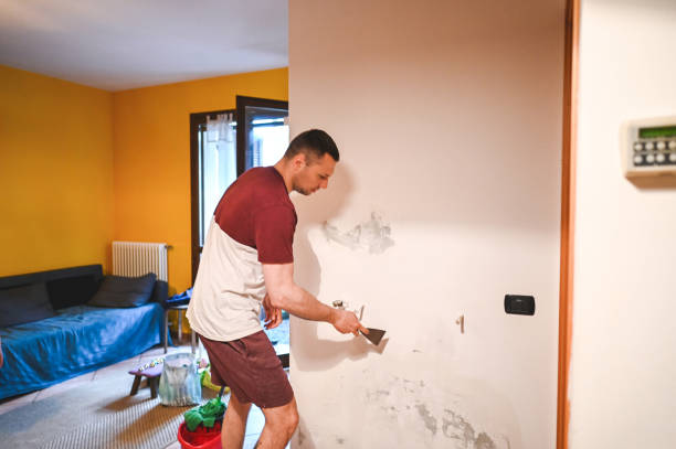 Best Localized Mold Remediation (e.g., coastal areas, humid climates) in Pinckney, MI